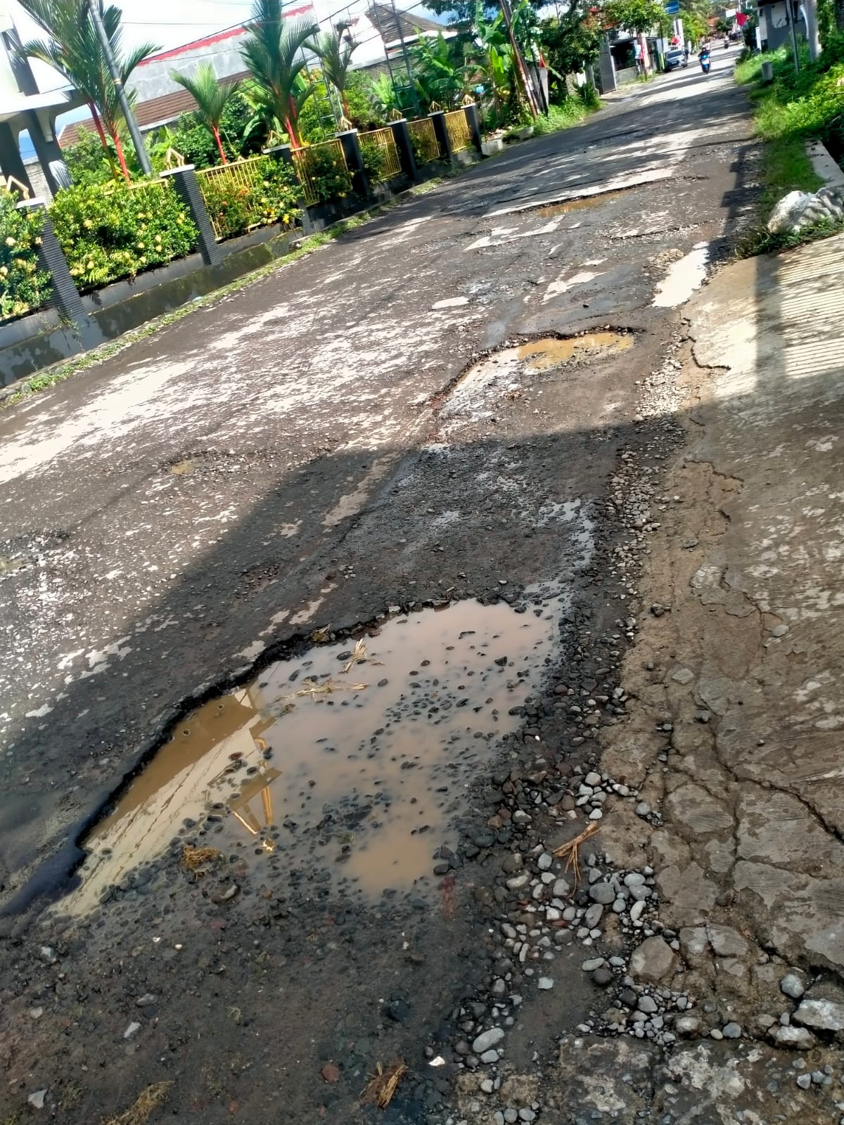 Image Pendukung