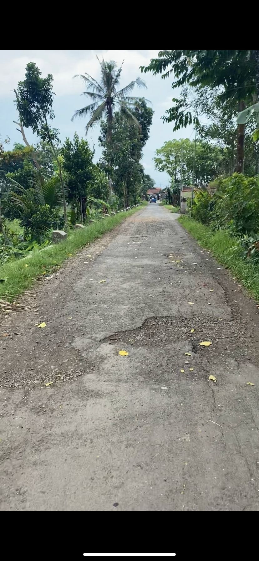 Image Pendukung